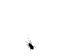 Ant - sengpielaudio