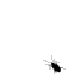 Fly - sengpielaudio