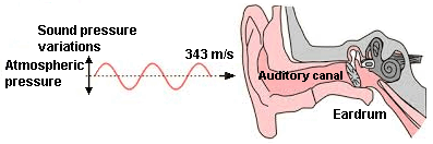 Perception of sound
